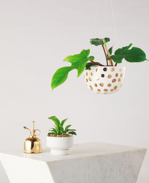 Deocrative Hanging Planter Gold Spot