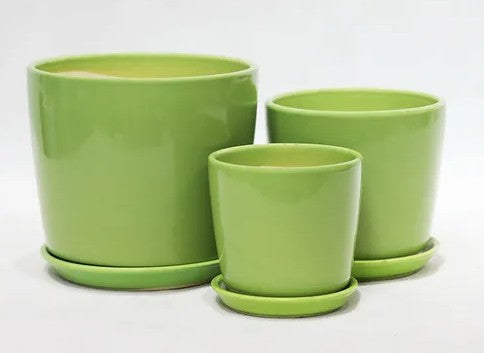 Maya Cone Pot with Saucers - Green -  3 sizes