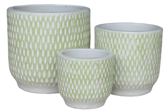 Calypso Planter Olive Green -  3 sizes