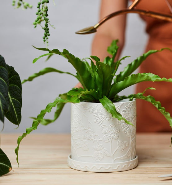 Callista Pot White