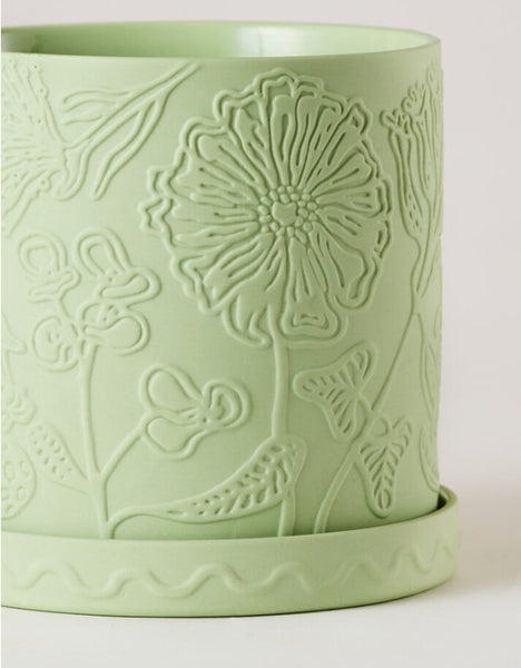 Callista Pot Lime