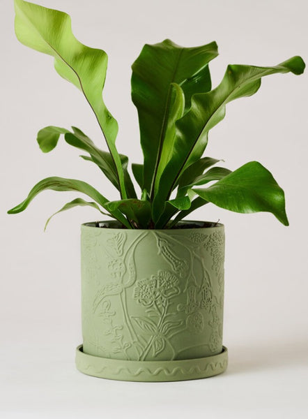 Callista Pot Olive