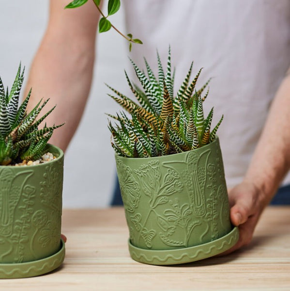 Callista Pot Olive