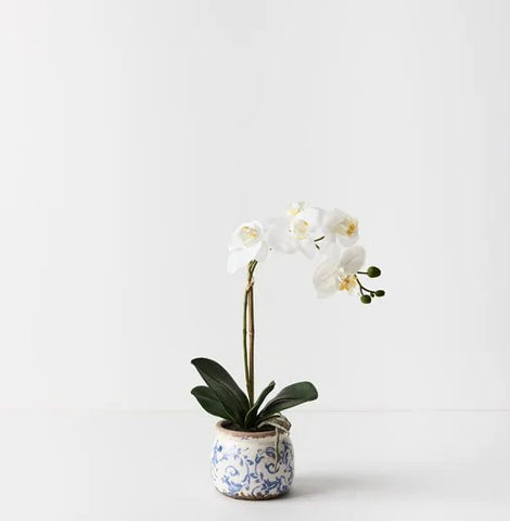 Faux - Orchid Phalaenopsis in Scarla Pot