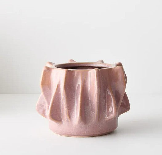 Pot Willow - Pink
