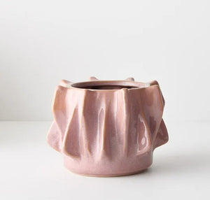 Pot Willow - Pink