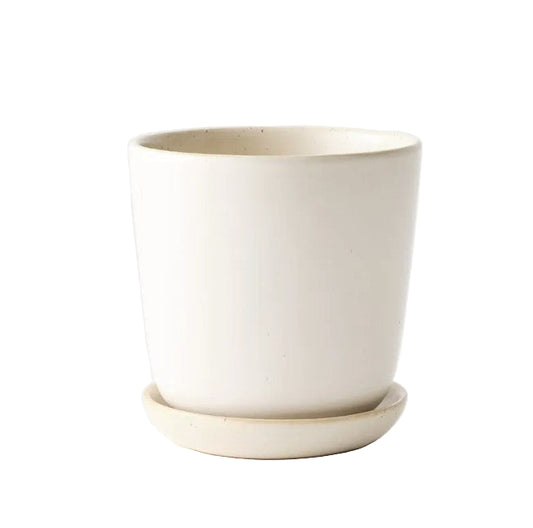 Speckled Pot w/Saucer - Whtie