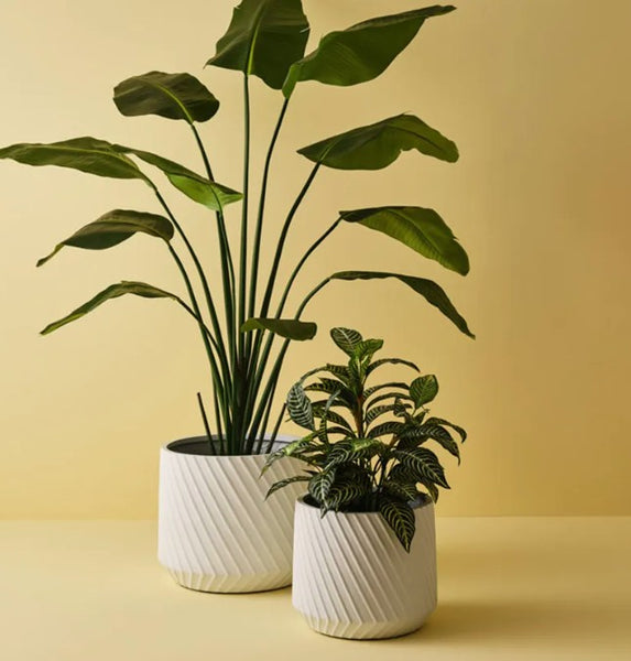 Pot Ando - White - 2 sizes