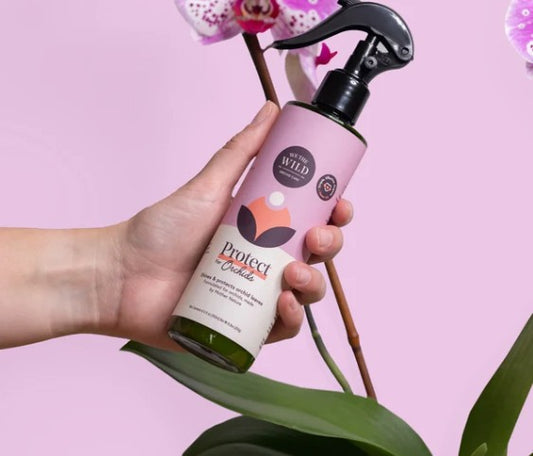 Orchid Protect Spray 250ml