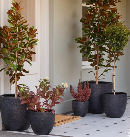 Slate Egg Pots S/5 - Black