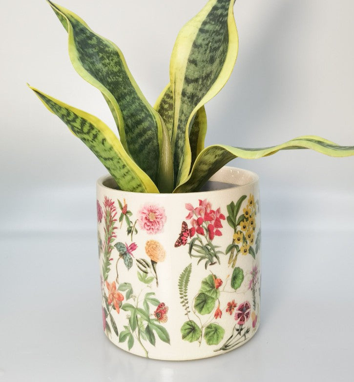 Botanicals Planter Green - Medium