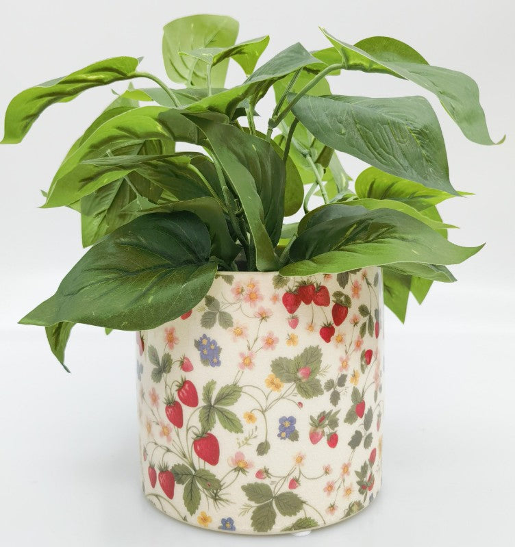 Strawberry Field Planter Green and Red - Medium