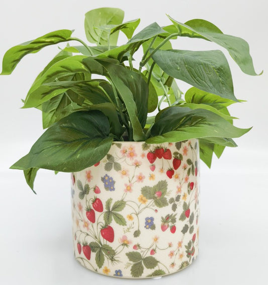 Strawberry Field Planter Green and Red - Medium