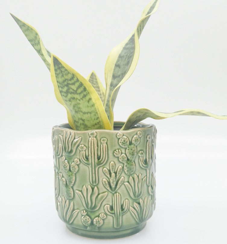 Cactus Planter Green 15cm