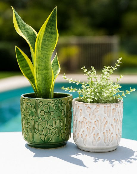 Cactus Planter Green 15cm