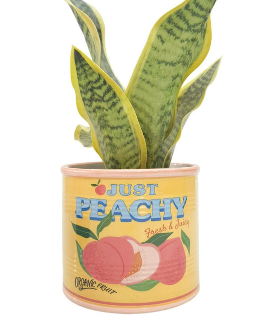 Just Peachy Can Planter Yellow 12cm