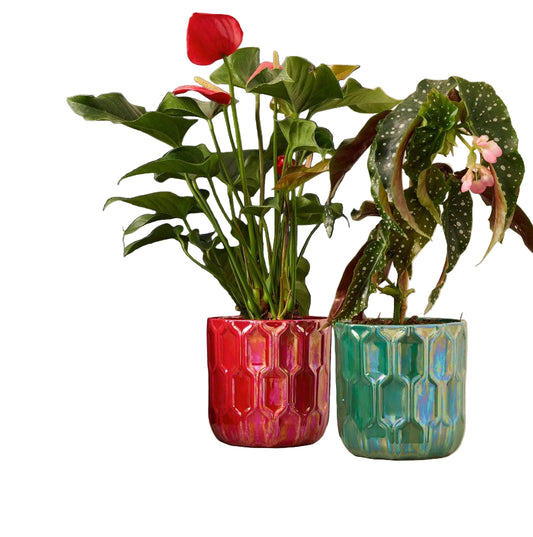 Leon Lustre Pot - Green or Red