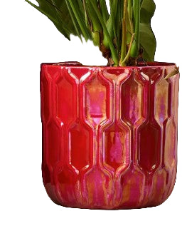 Leon Lustre Pot - Green or Red