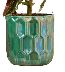 Leon Lustre Pot - Green or Red