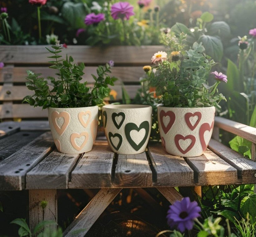 Heart Planters - 3 Colours