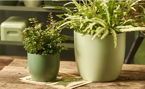 SK Pots - 4 colours - 20cm