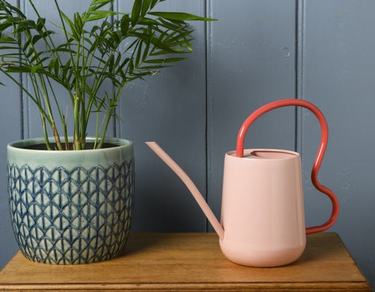 Collector Scalloped Indoor Watering Can - Blush