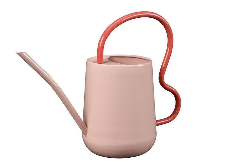 Collector Scalloped Indoor Watering Can - Blush
