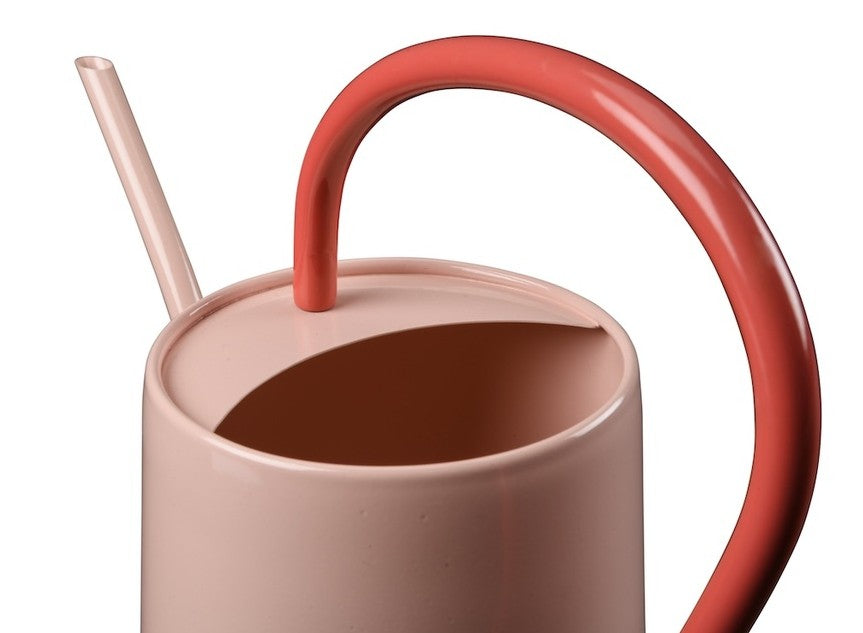 Collector Scalloped Indoor Watering Can - Blush