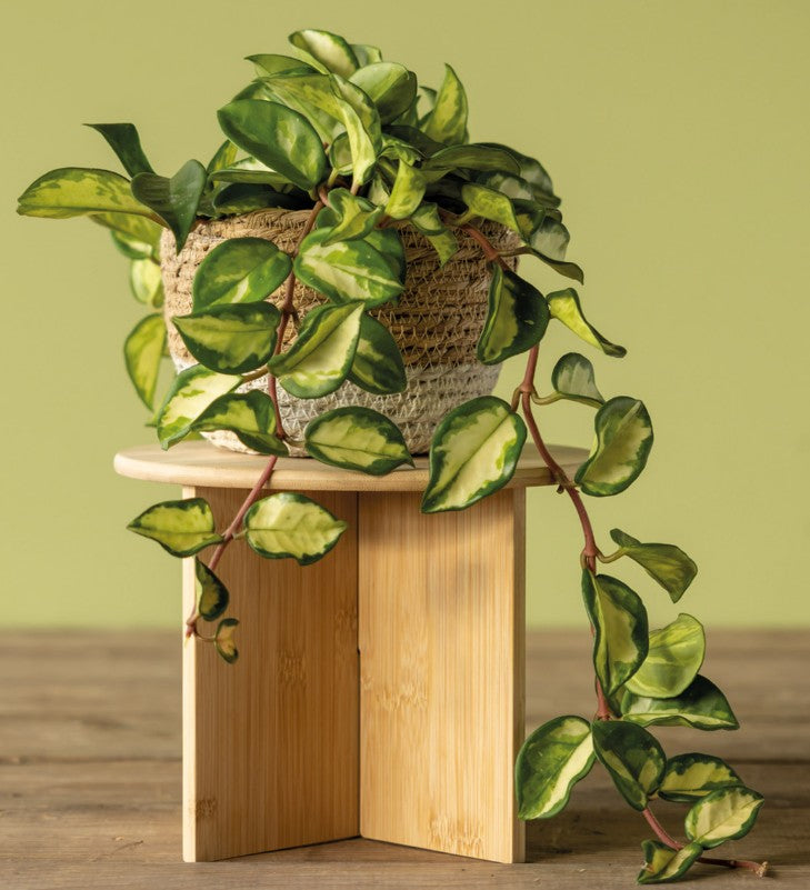 Plant Stand - Bamboo - 3 sizes