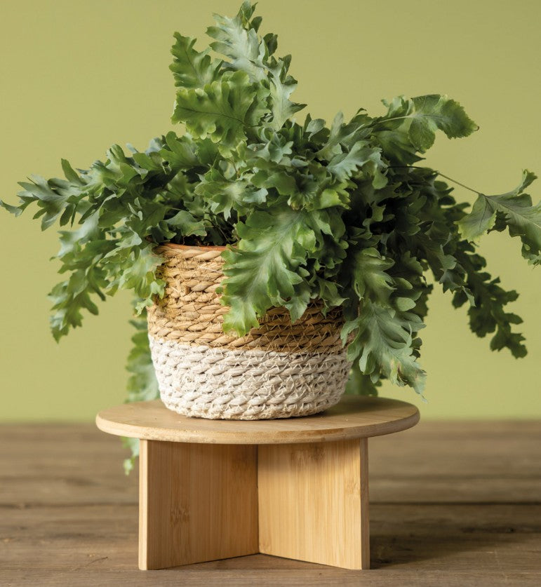 Plant Stand - Bamboo - 3 sizes