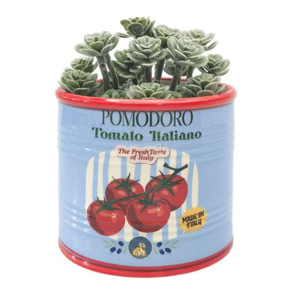 Tomato Italiano Can Planter Blue 10cm