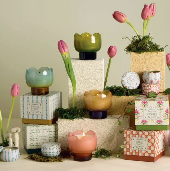 Paddywax: Tulip Cactus Flower Glass Candle - 155g