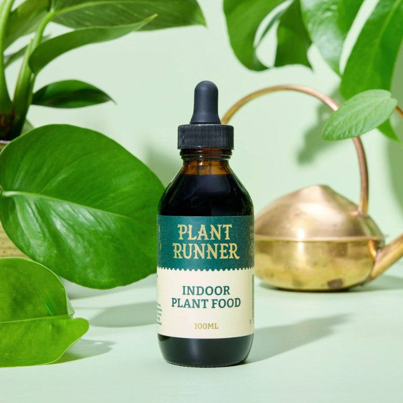 The Plant Runner - Indoor Plant Food 100ml