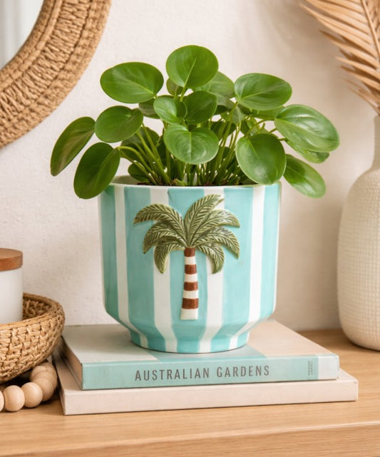 Planter Palm Stripe