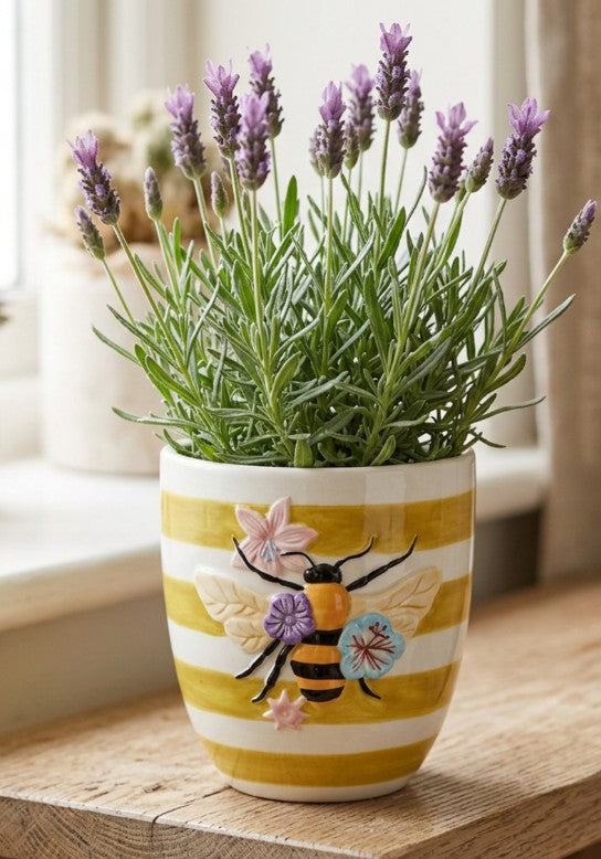 Planter Funky Bee
