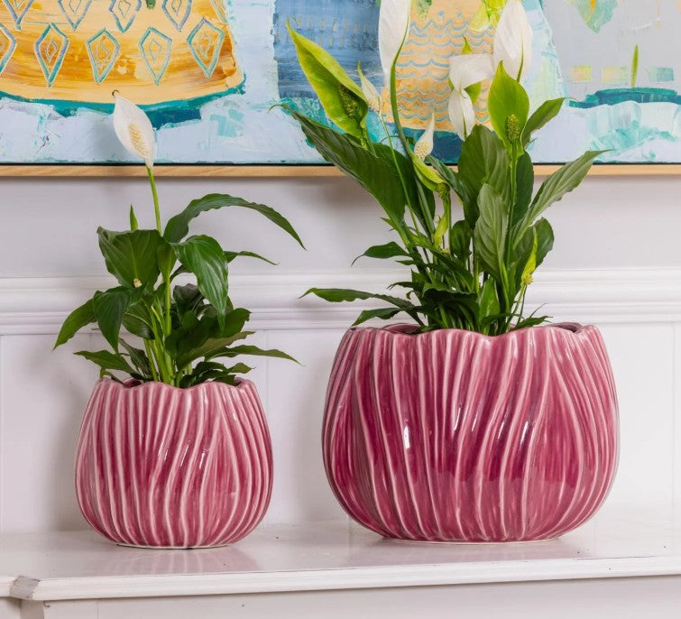 Tulip Pot S/2 Rose