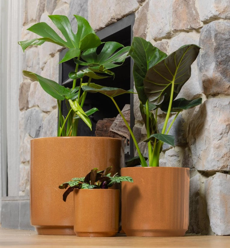 Farah Cylinder Pots S/3 - Green