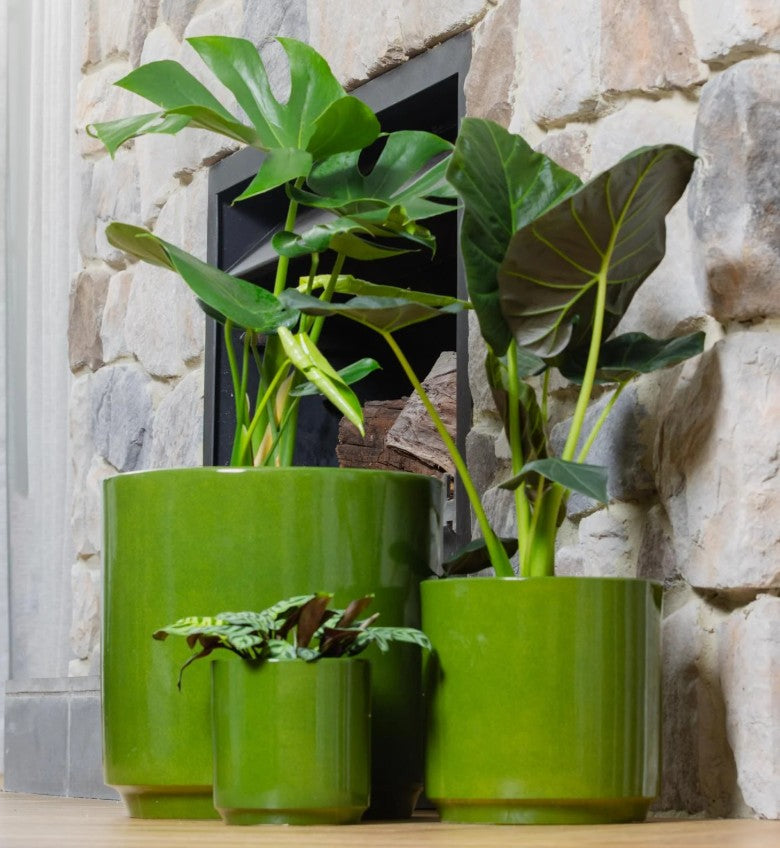 Farah Cylinder Pots S/3 - Green