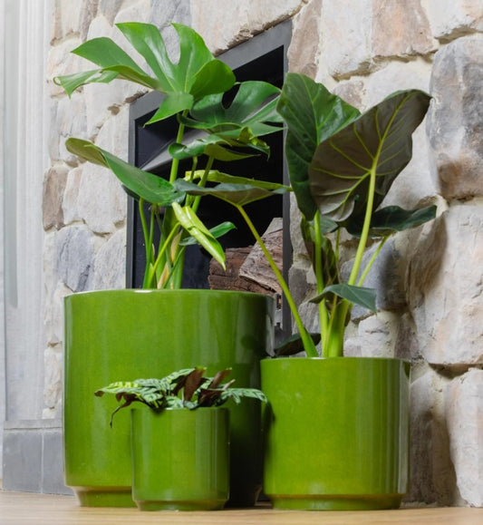 Farah Cylinder Pots S/3 - Green