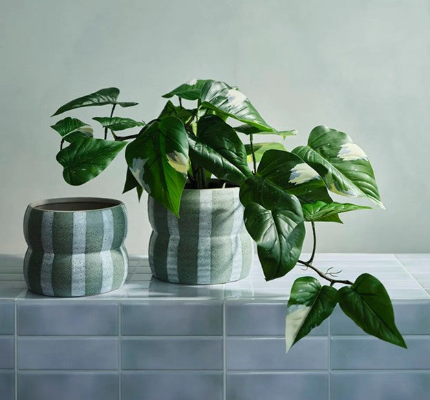 Arlo Pot - 13cm - 2 colours