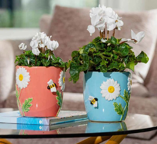 Flower-Bee Pot - 2 colours