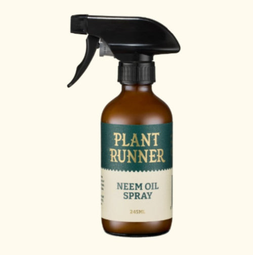 NEEM OIL LEAF SHINE 245ml - The Plant Runner