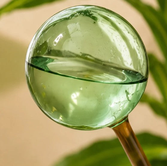 Self Watering Plant Globe