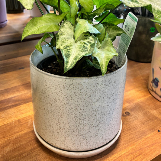 Oslo Planter - Sandstorm - Medium