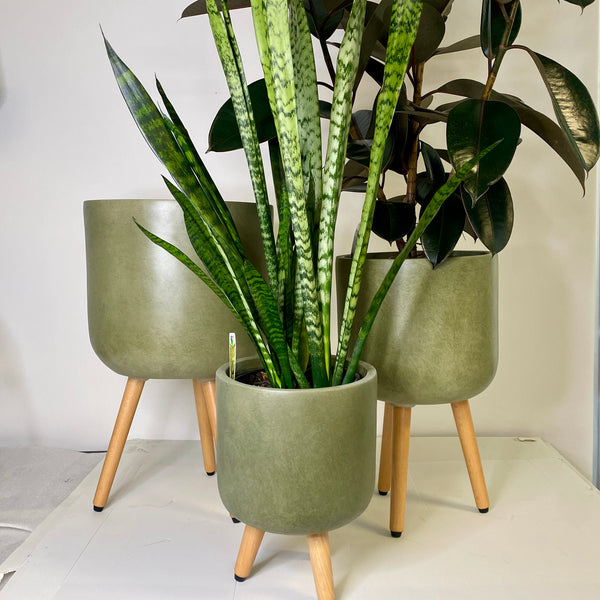 Asher Tripod Planters - Olive Green