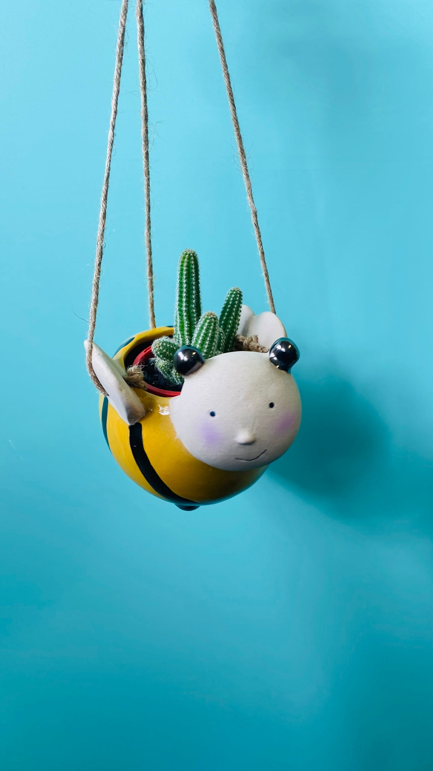 Bee Hanging Planter Yellow & Black 12cm