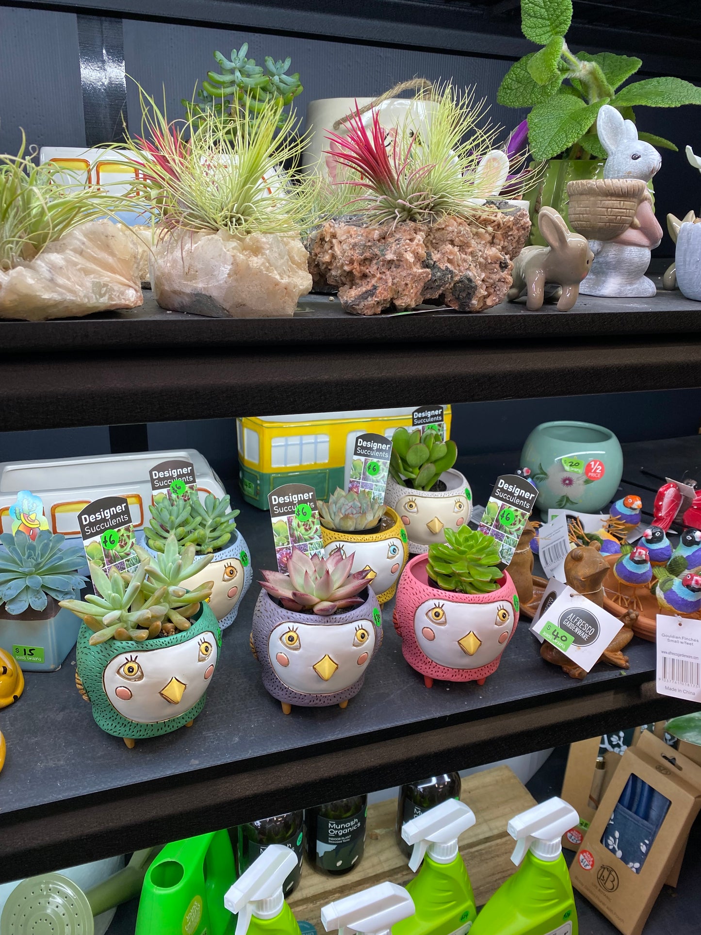 Baby Birdie Planters