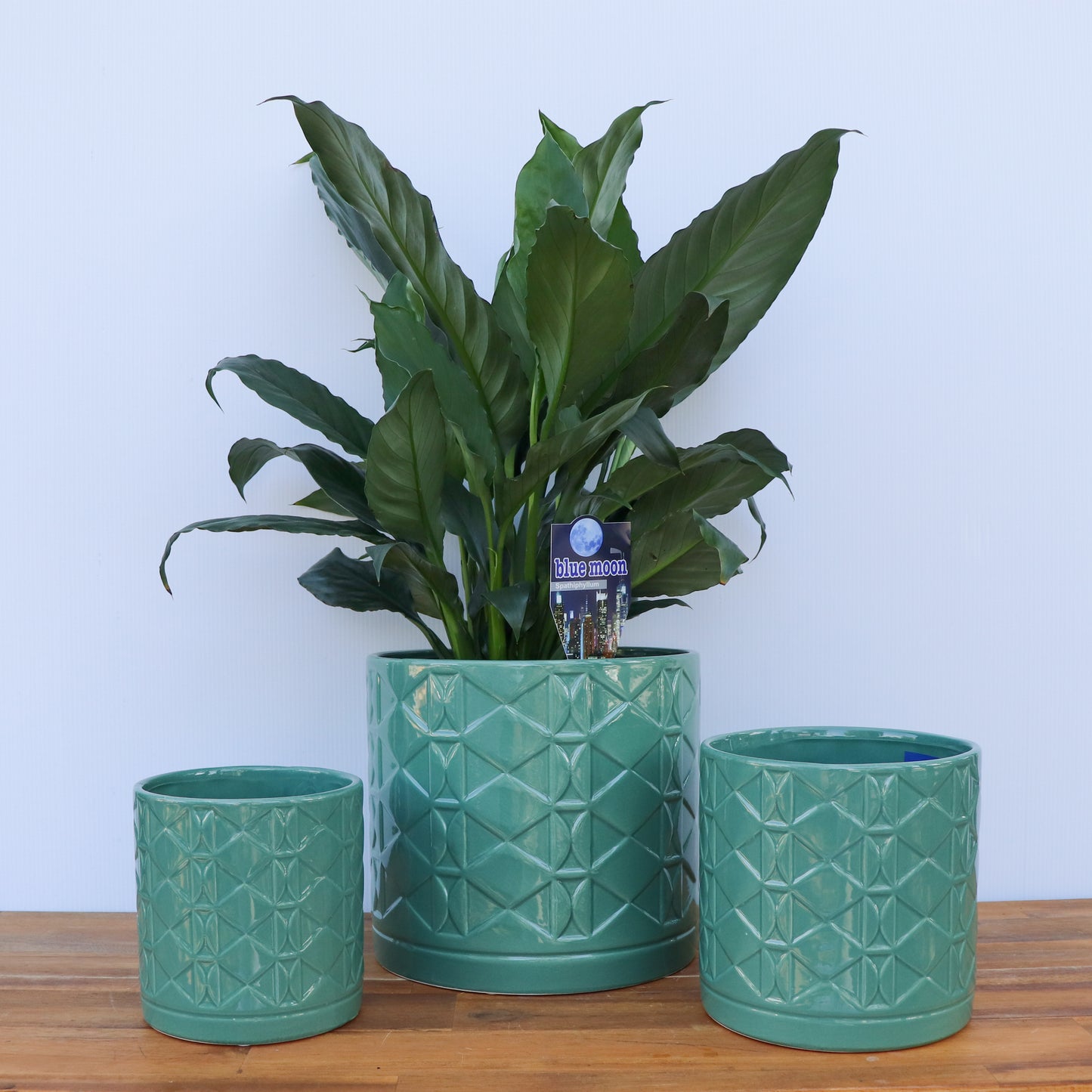 Eden Pots S/3  Green