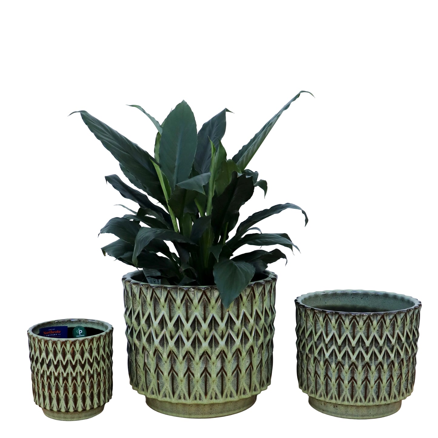 Felix Cylinder Pots S/3 - Green
