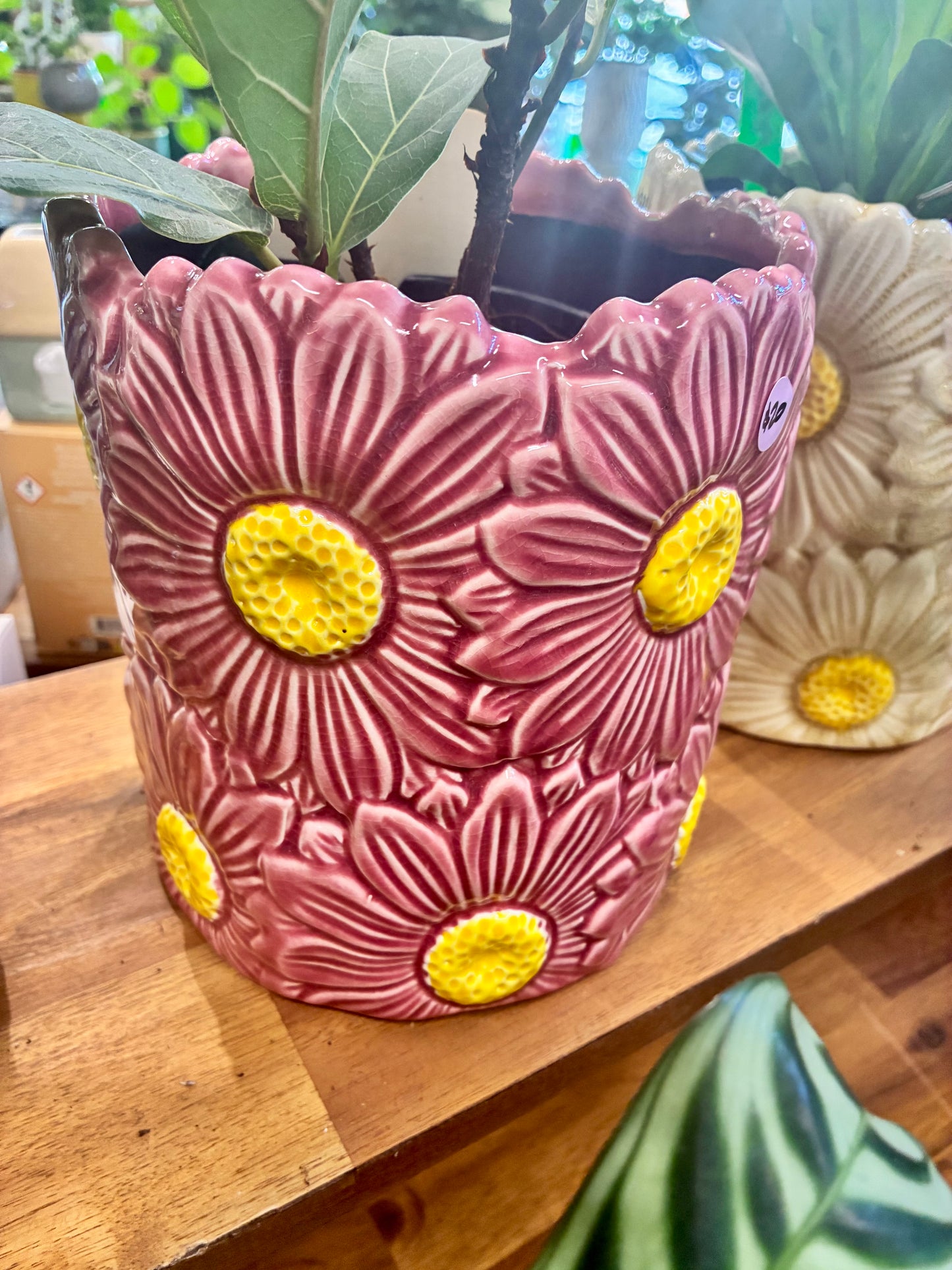 Daisy Cylinder Pot - 3 Colours